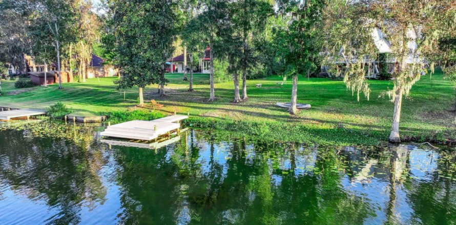 Дом в Грин-Коув-Спрингс, Флорида 3 спальни, 252.51м2 № 817914