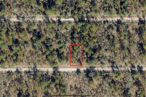 Land in Dunnellon, Florida № 2217047