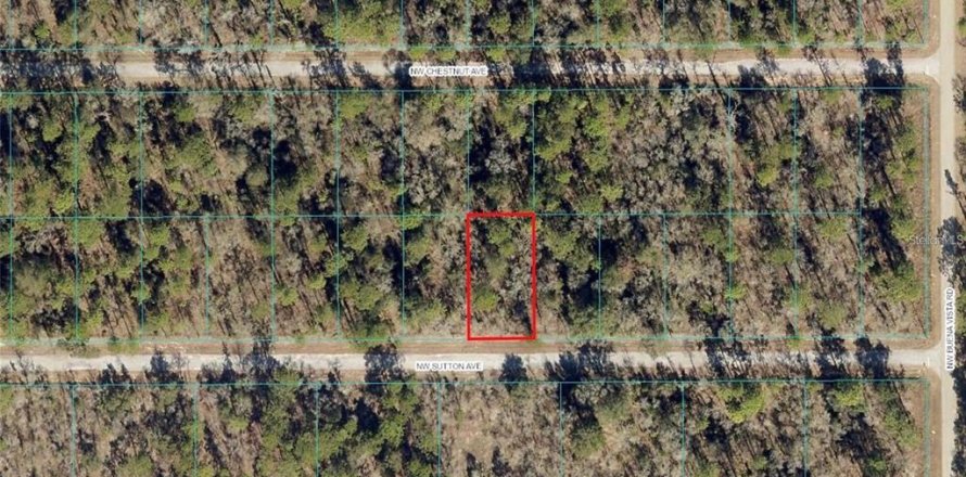 Land in Dunnellon, Florida № 2217047