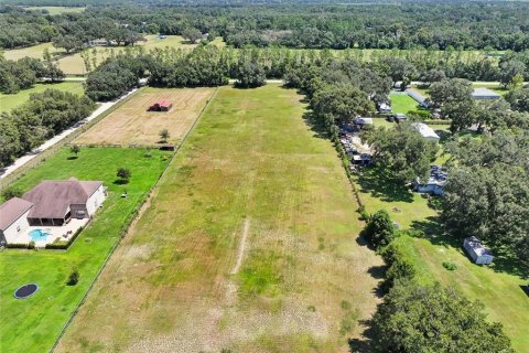 Land in Dade City, Florida № 2379615 - photo 29
