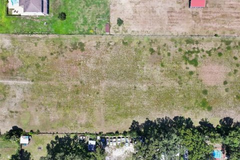 Land in Dade City, Florida № 2379615 - photo 27