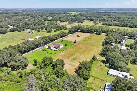 Land in Dade City, Florida № 2379615 - photo 17