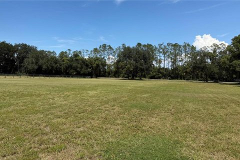 Land in Dade City, Florida № 2379615 - photo 2