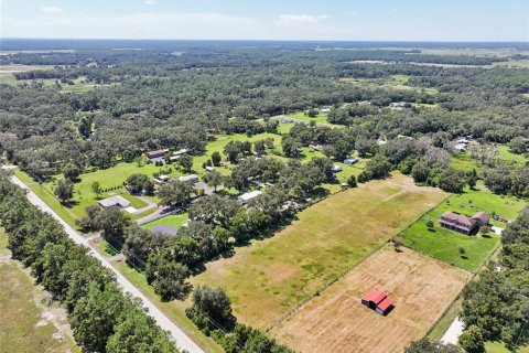 Land in Dade City, Florida № 2379615 - photo 7