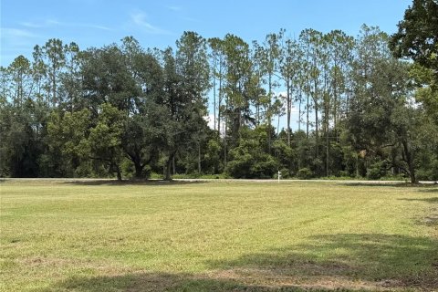Land in Dade City, Florida № 2379615