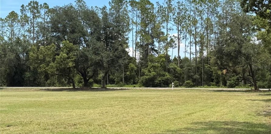 Land in Dade City, Florida № 2379615