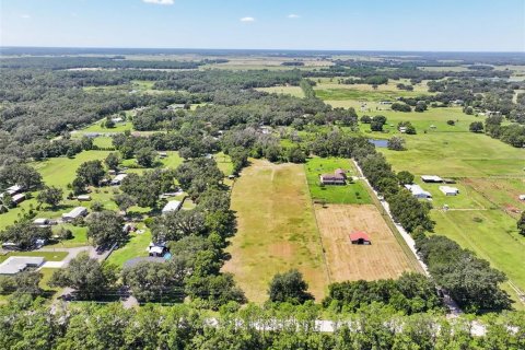Land in Dade City, Florida № 2379615 - photo 8