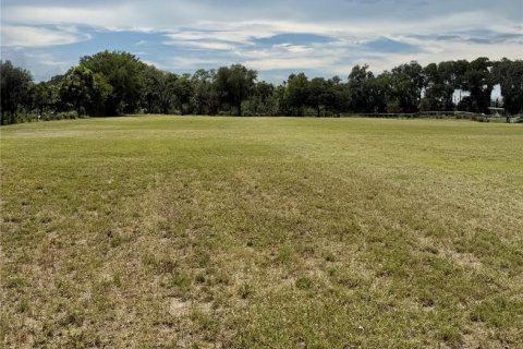 Land in Dade City, Florida № 2379615 - photo 3