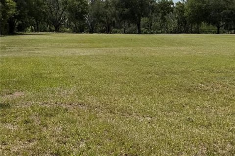 Land in Dade City, Florida № 2379615 - photo 4