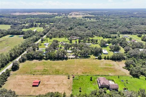 Land in Dade City, Florida № 2379615 - photo 21