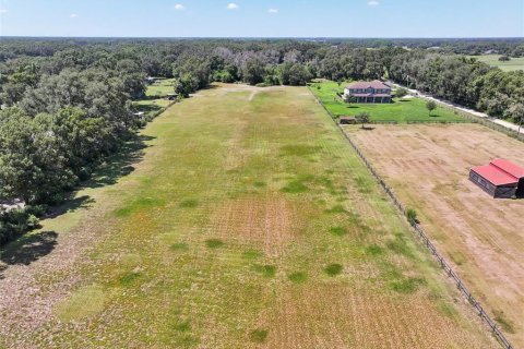 Land in Dade City, Florida № 2379615 - photo 23