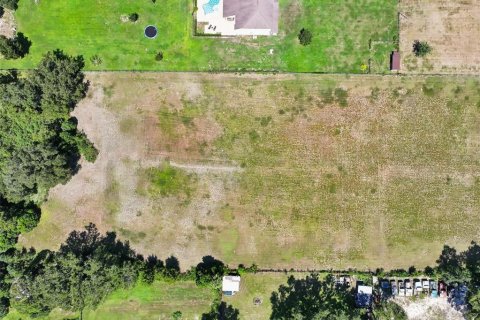 Land in Dade City, Florida № 2379615 - photo 13