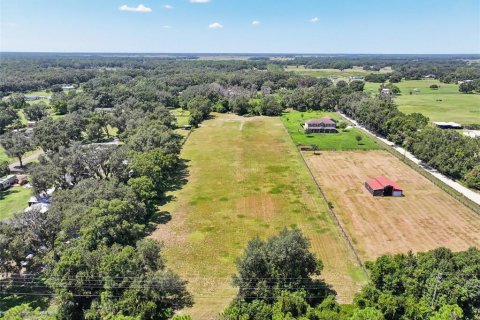 Land in Dade City, Florida № 2379615 - photo 11