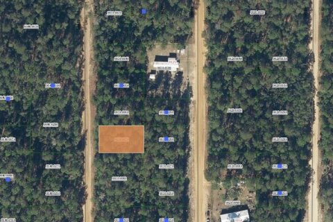 Terrain à Interlachen, Floride № 2228838