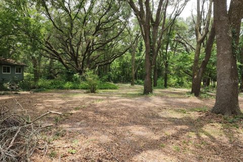House in Alachua, Florida 3 bedrooms, 258.08 sq.m. № 1798663 - photo 16