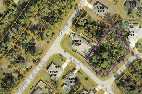 Land in North Port, Florida № 1609170 - photo 3