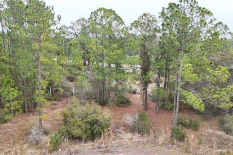 Terreno en venta en Kissimmee, Florida № 2224475 - foto 2
