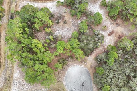 Terreno en venta en Kissimmee, Florida № 2224475 - foto 10