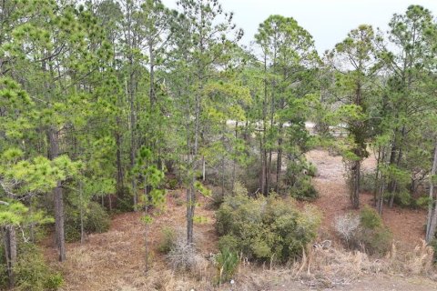 Terreno en venta en Kissimmee, Florida № 2224475 - foto 3