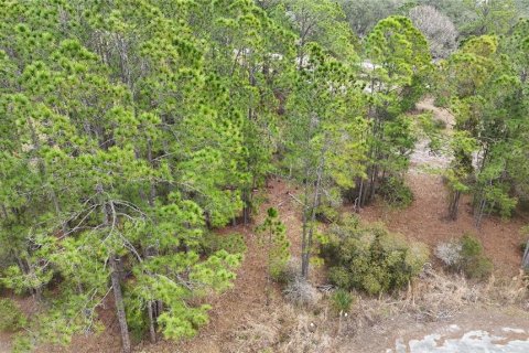 Terreno en venta en Kissimmee, Florida № 2224475 - foto 6