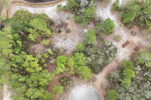 Terreno en venta en Kissimmee, Florida № 2224475 - foto 9