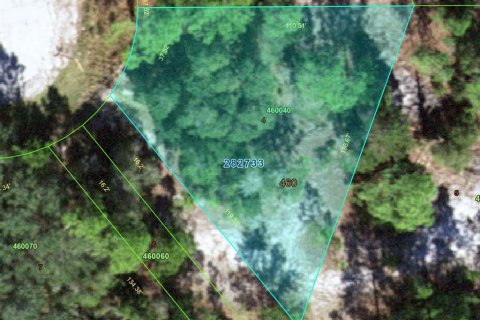 Terreno en venta en Kissimmee, Florida № 2224475 - foto 13