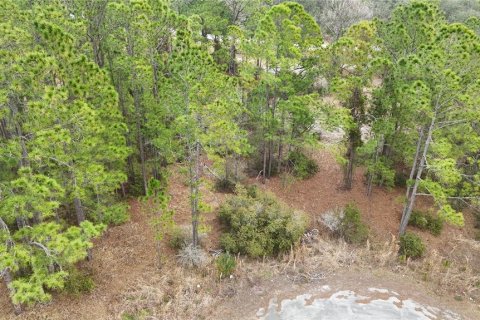 Terreno en venta en Kissimmee, Florida № 2224475 - foto 5