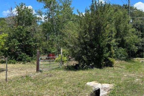 Land in Clermont, Florida № 1615333 - photo 1