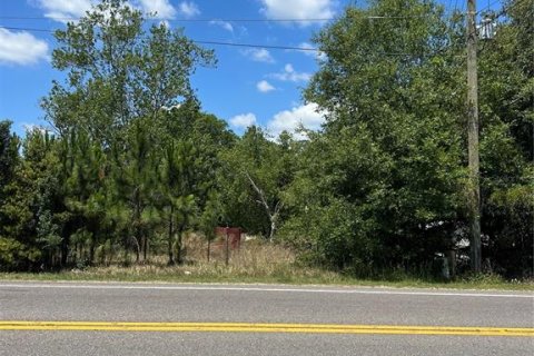 Land in Clermont, Florida № 1615333 - photo 2