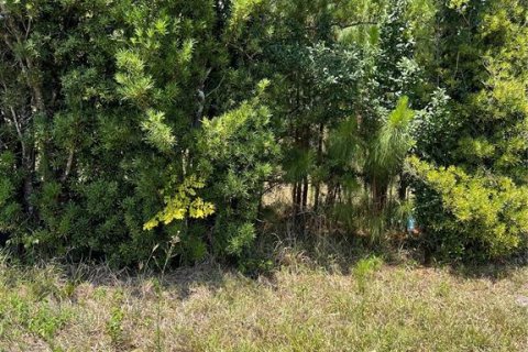 Land in Clermont, Florida № 1615333 - photo 9