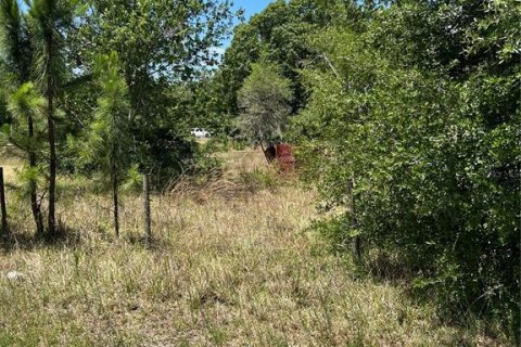 Land in Clermont, Florida № 1615333 - photo 6