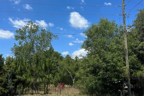 Land in Clermont, Florida № 1615333 - photo 3