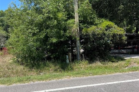 Land in Clermont, Florida № 1615333 - photo 5