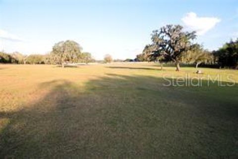 Terreno en venta en Dade City, Florida № 1751431 - foto 7