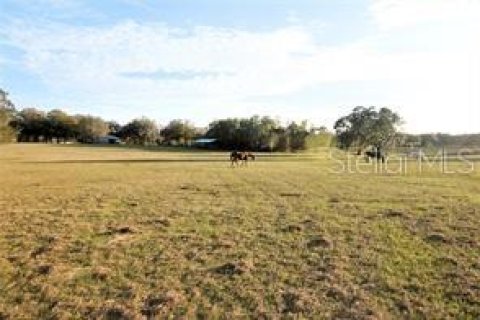 Terreno en venta en Dade City, Florida № 1751431 - foto 2