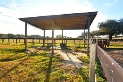 Terreno en venta en Dade City, Florida № 1751431 - foto 10