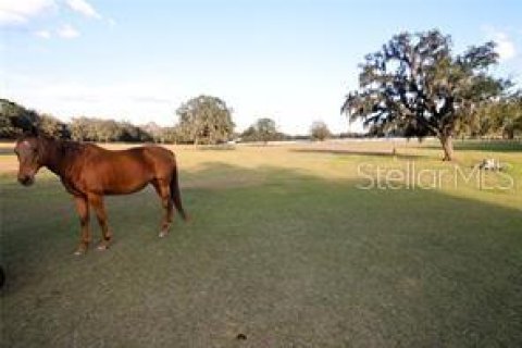 Terreno en venta en Dade City, Florida № 1751431 - foto 5
