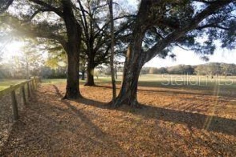Terreno en venta en Dade City, Florida № 1751431 - foto 9