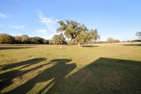 Terreno en venta en Dade City, Florida № 1751431 - foto 12