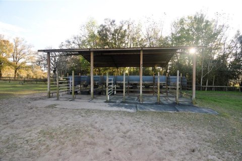 Terreno en venta en Dade City, Florida № 1751431 - foto 14