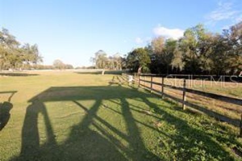 Terreno en venta en Dade City, Florida № 1751431 - foto 8