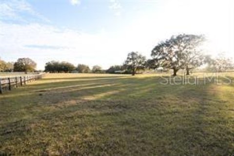 Terreno en venta en Dade City, Florida № 1751431 - foto 3