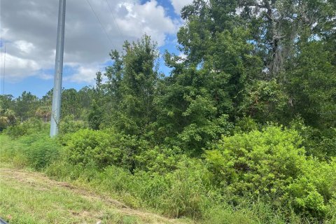 Land in Davenport, Florida № 1838477 - photo 2