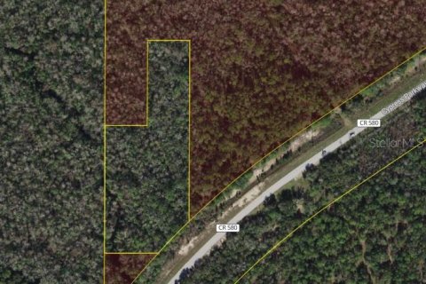 Land in Davenport, Florida № 1838477 - photo 1