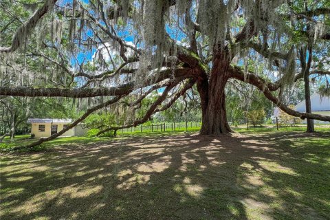 Villa ou maison à vendre à Alachua, Floride: 5 chambres, 502.04 m2 № 1721083 - photo 4