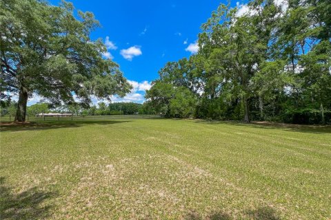 Villa ou maison à vendre à Alachua, Floride: 5 chambres, 502.04 m2 № 1721083 - photo 6