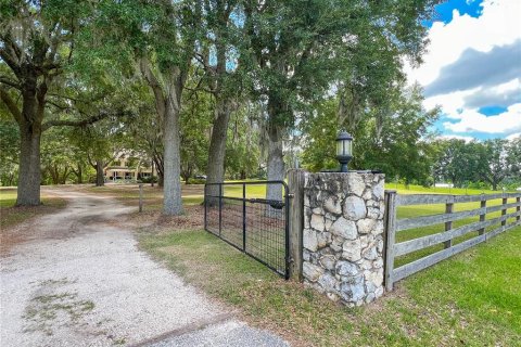 Villa ou maison à vendre à Alachua, Floride: 5 chambres, 502.04 m2 № 1721083 - photo 2