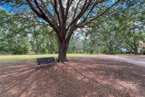 Villa ou maison à vendre à Alachua, Floride: 5 chambres, 502.04 m2 № 1721083 - photo 3