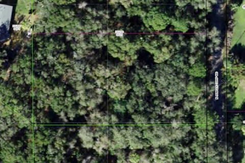 Land in Inverness, Florida № 1555868 - photo 2