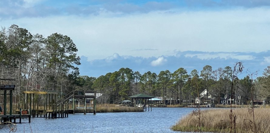 Land in Freeport, Florida № 558922